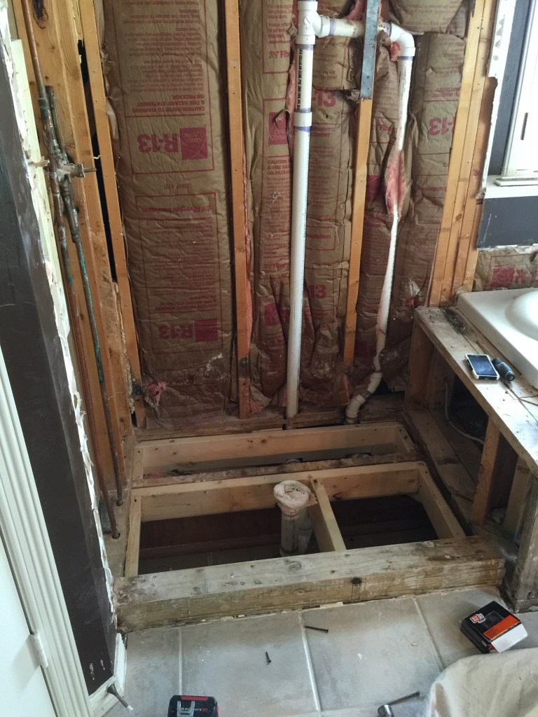 Finishing our demo for our bathroom remodel